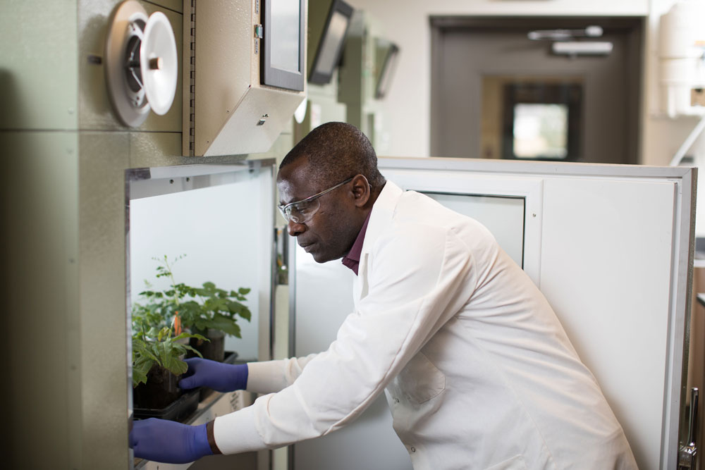 Boreal Forest Plant Seed Technology Access Centre Tac Industry Solutions