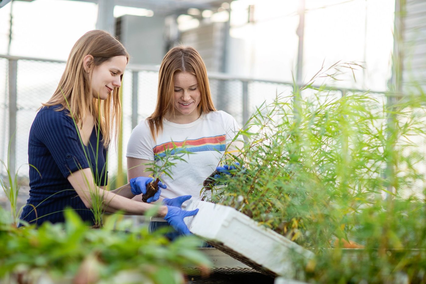 NAIT Once Again Ranks In The Top 10 Of Canada’s Top 50 Research ...